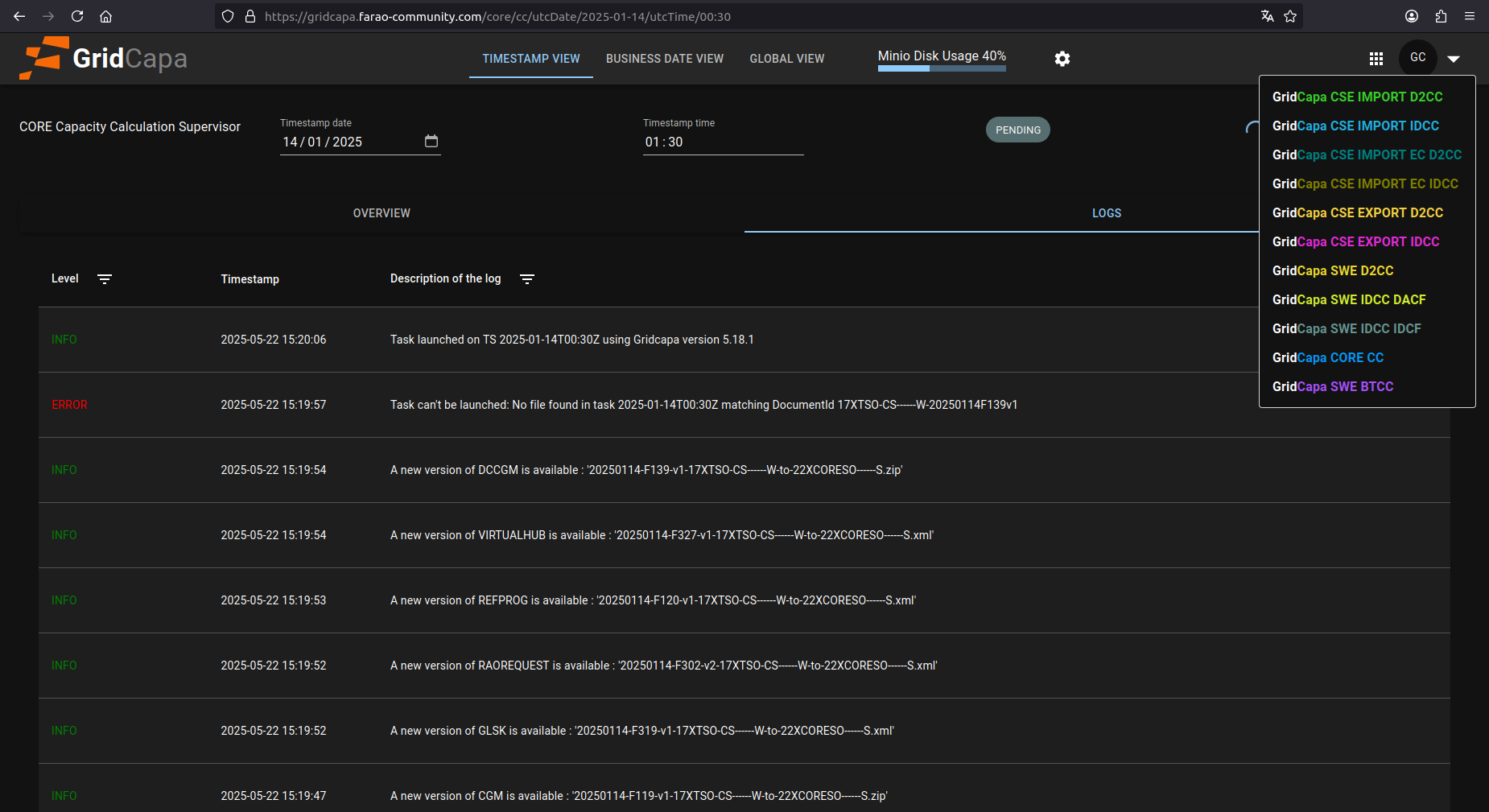 GridCapa process selection