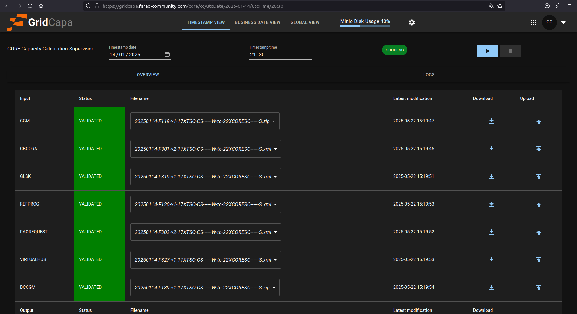 GridCapa timestamp date view